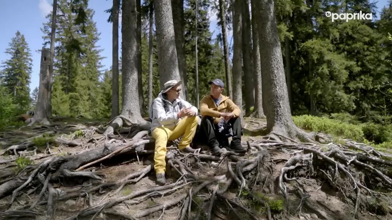 Nízke Tatry