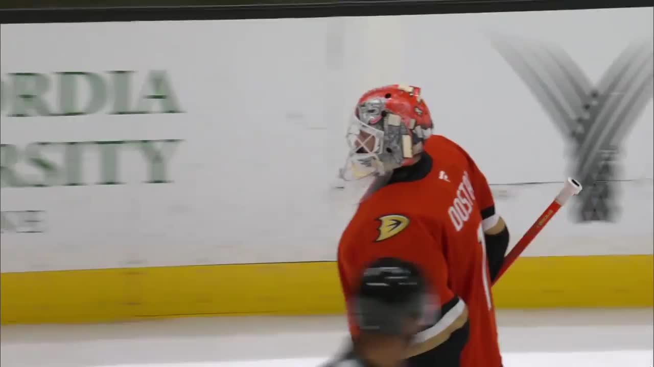 VAN@ANA: Hronek scores goal