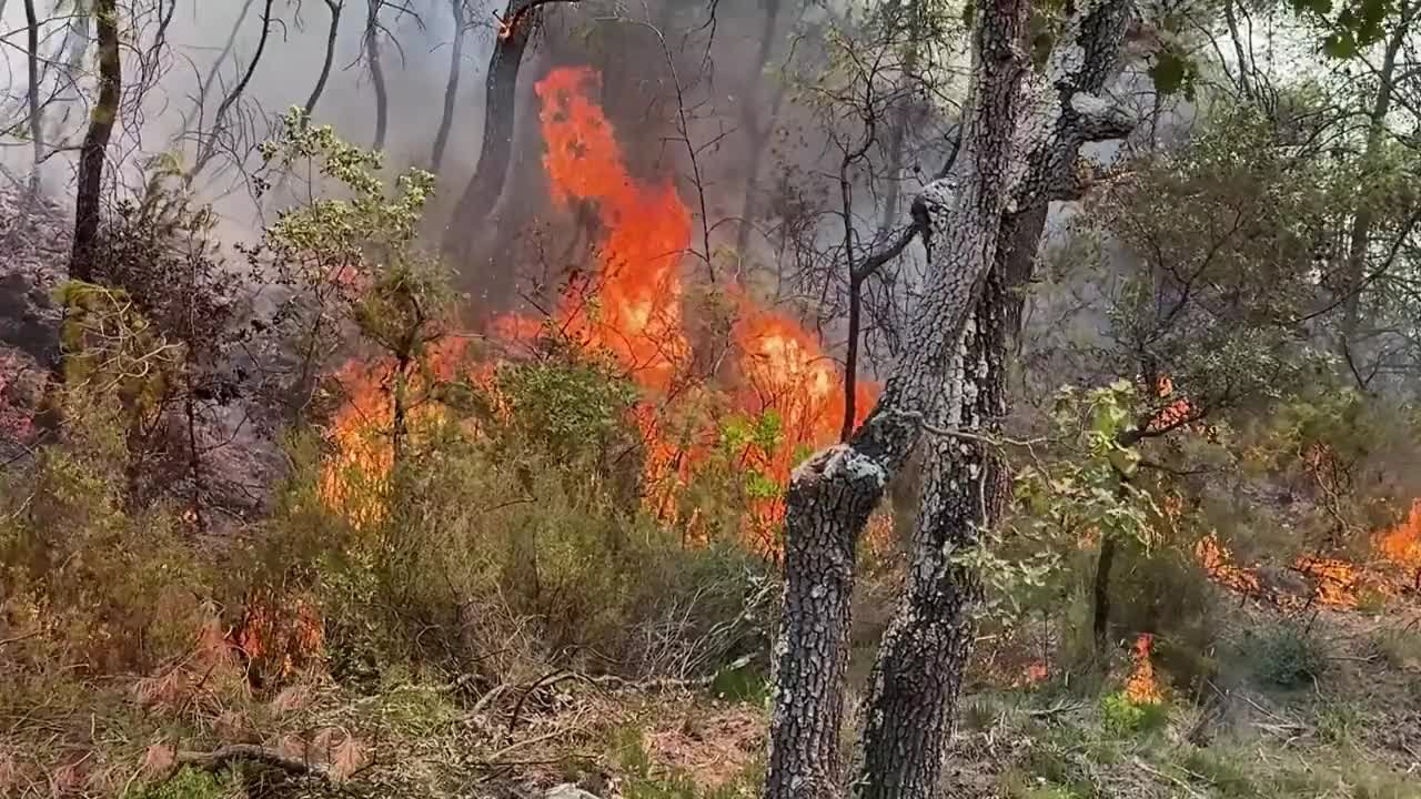 France's largest wildfire in decades 'under control', says minister