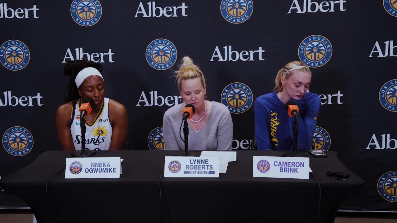 Lynne Roberts, Nneka Ogwumike, & Cam Brink