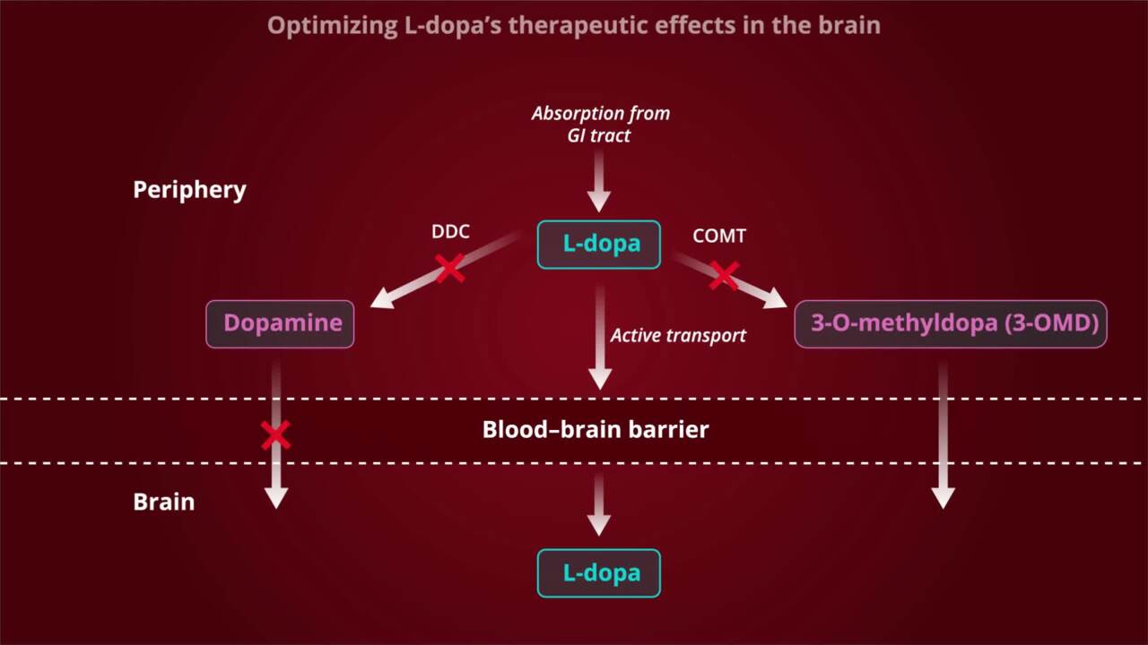 European Journal of Neurology - Video Gallery