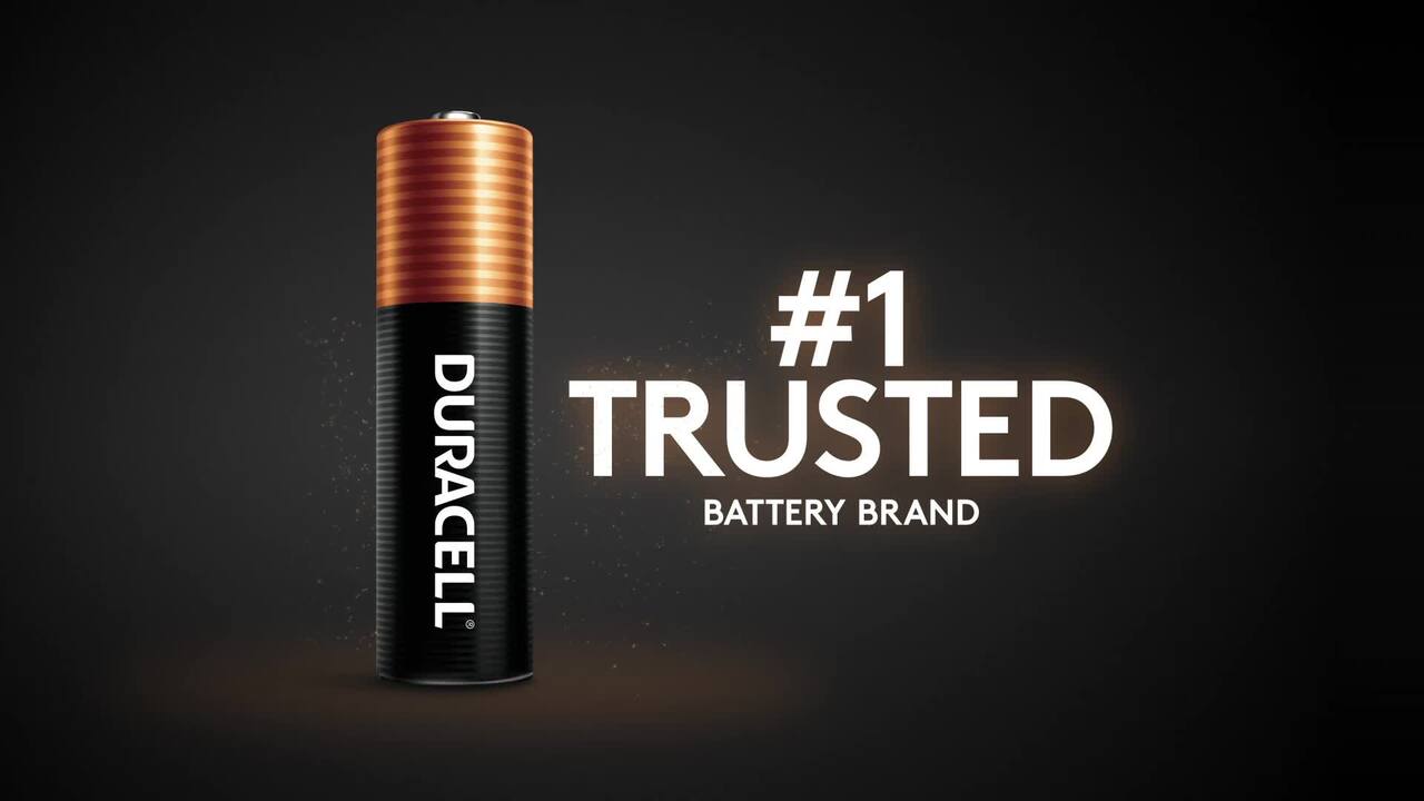 Duracell AAA Batteries Alkaline Copper Top Heavy-Duty (20 Pcs.)