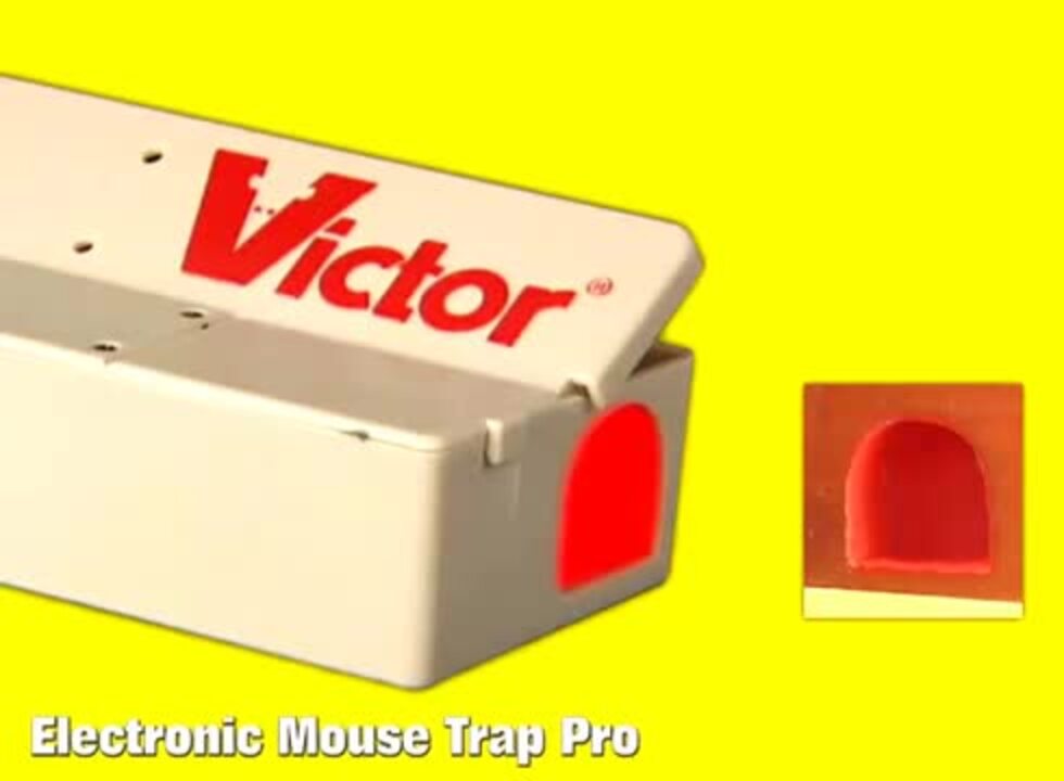 Victor M308 Tin Cat Humane Live Mouse Trap Clear Lid (Pack of 12)