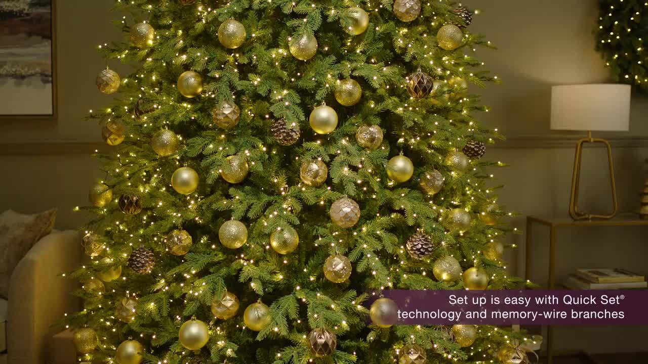 Home Decorators Collection 9 ft. Grand Duchess Twinkling