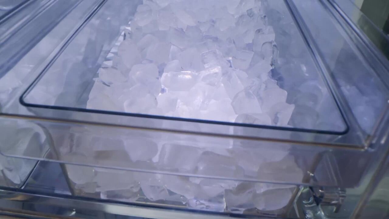 Extra Large Ice Cube Tray - Grounded