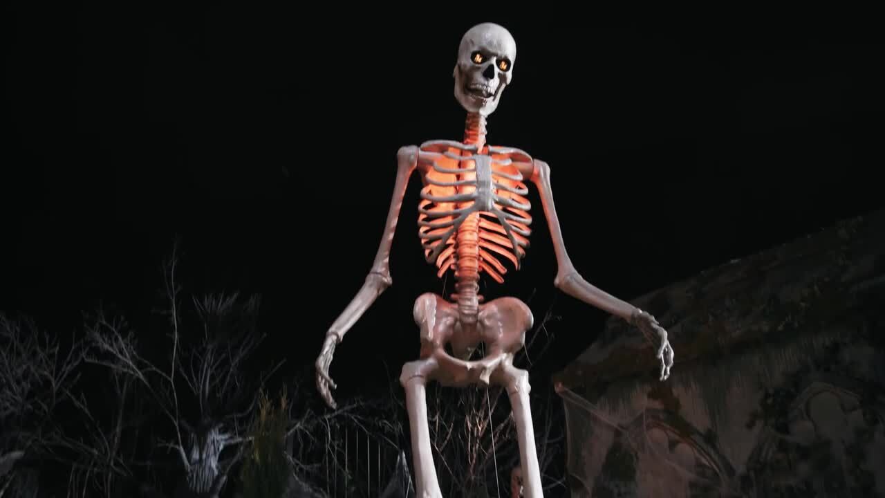 管楽器・吹奏楽器 ET2 #695 skeleton model Home Accents Holiday 12 FT Giant-Sized Animated LED App Controlled