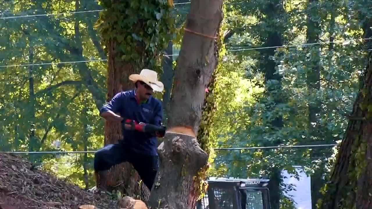 ashosm36j樣 專用 MOLA REVELATIONS CD ashosm36j樣 專用 MOLA REVELATIONS CD ashosm36j樣 專用 MOLA