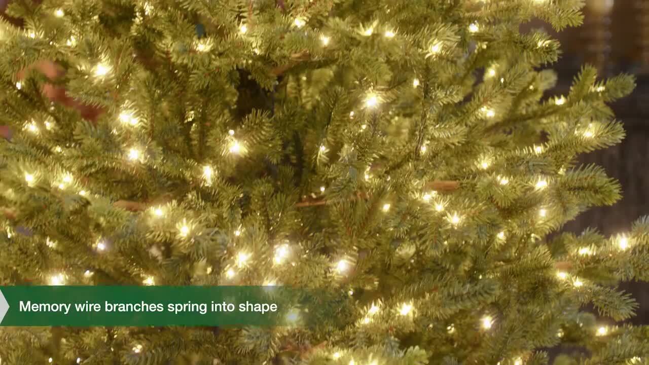 Home Decorators Collection 7.5 ft. Elegant Twinkling Grand Fir LED