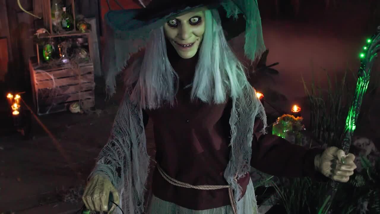 Home Depot Home Accents 7 ft. Animated Lethal Lily Witch! NEW 2023