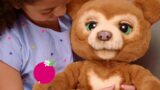 Introducing Cubby The Curious Bear from furReal