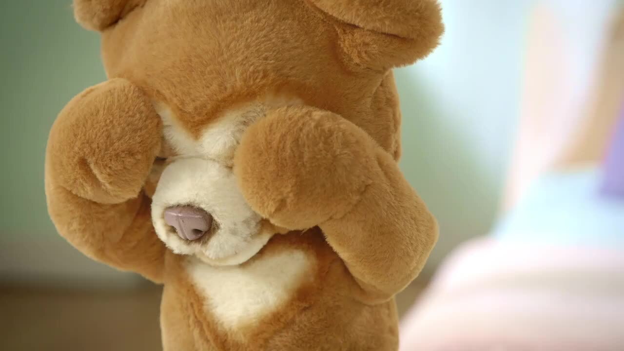 cubby the curious bear canada
