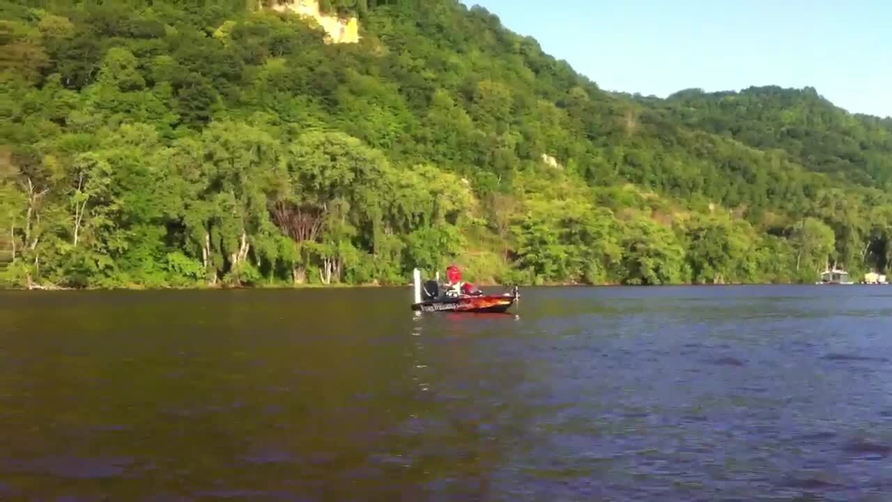 How to fish a Blueback Herring lake in March (LAKE HARTWELL) 