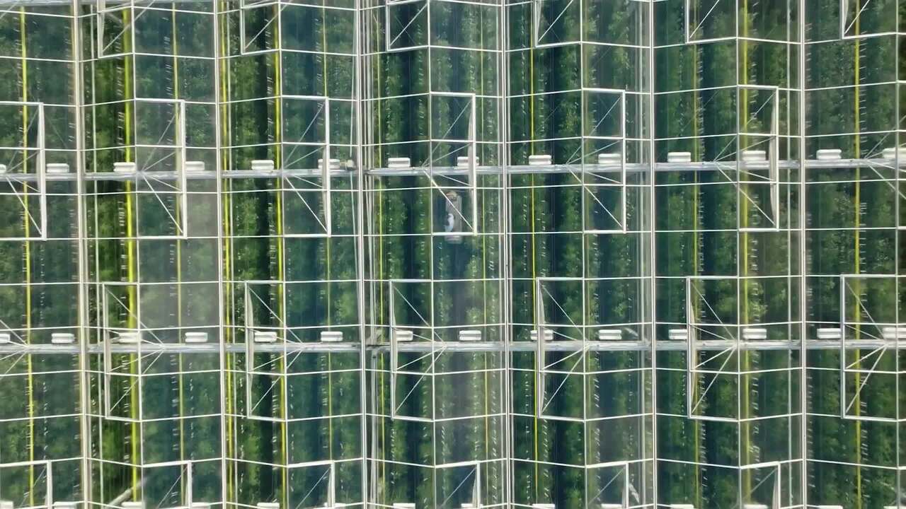 Nature Fresh Farms - Customer Success Story (Keith Bradley - Vice President Information Technology)