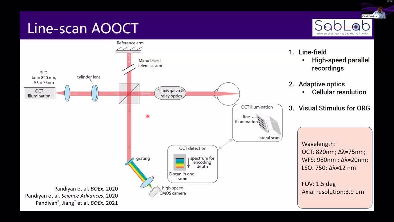 Workshop in Retinal AO-OCT Technology: Different Configurations and Their Applications