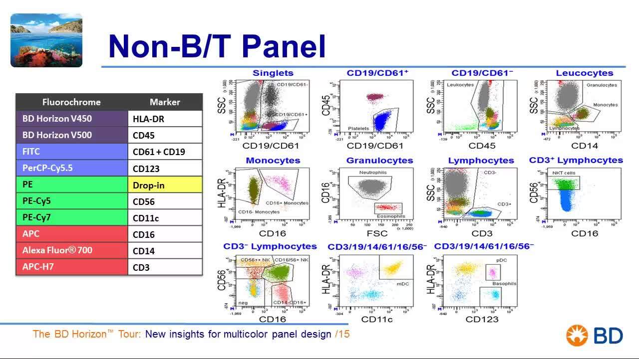 Panel Design