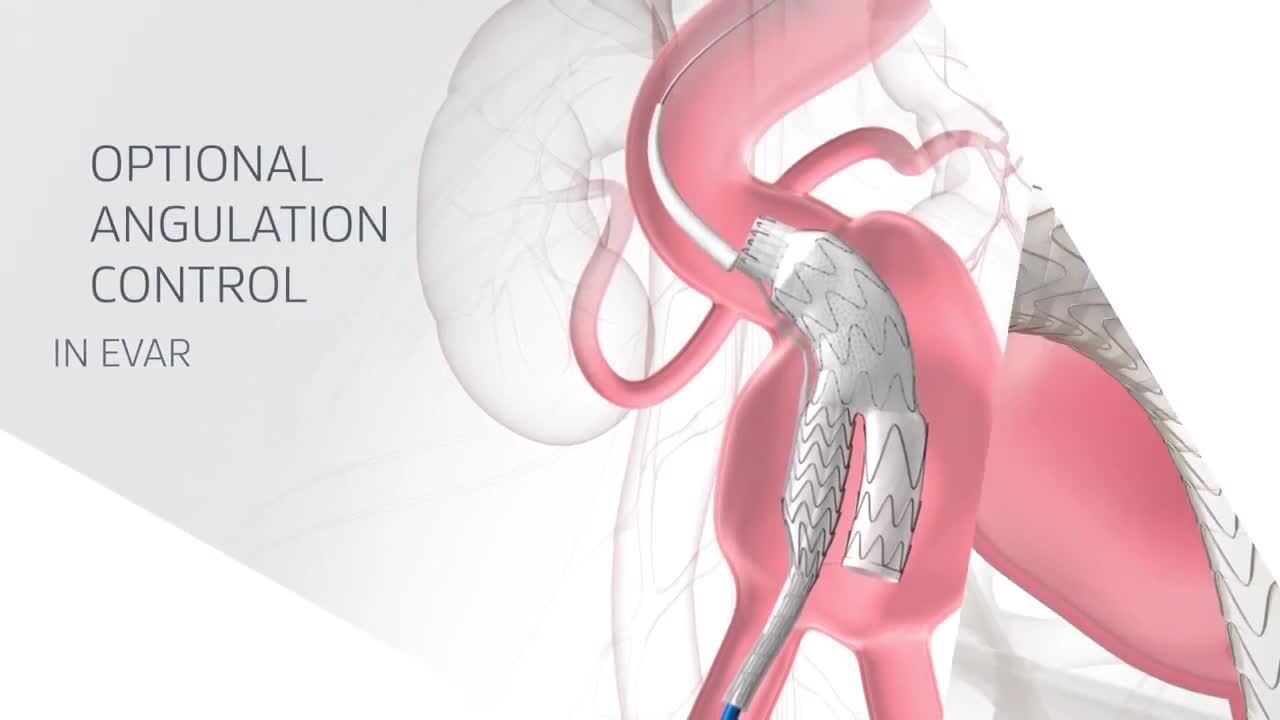 【正規品】tevaplanter 新品未開封 25 Years of TEVAR | TAG® Conformable | Gore Medical EMEA