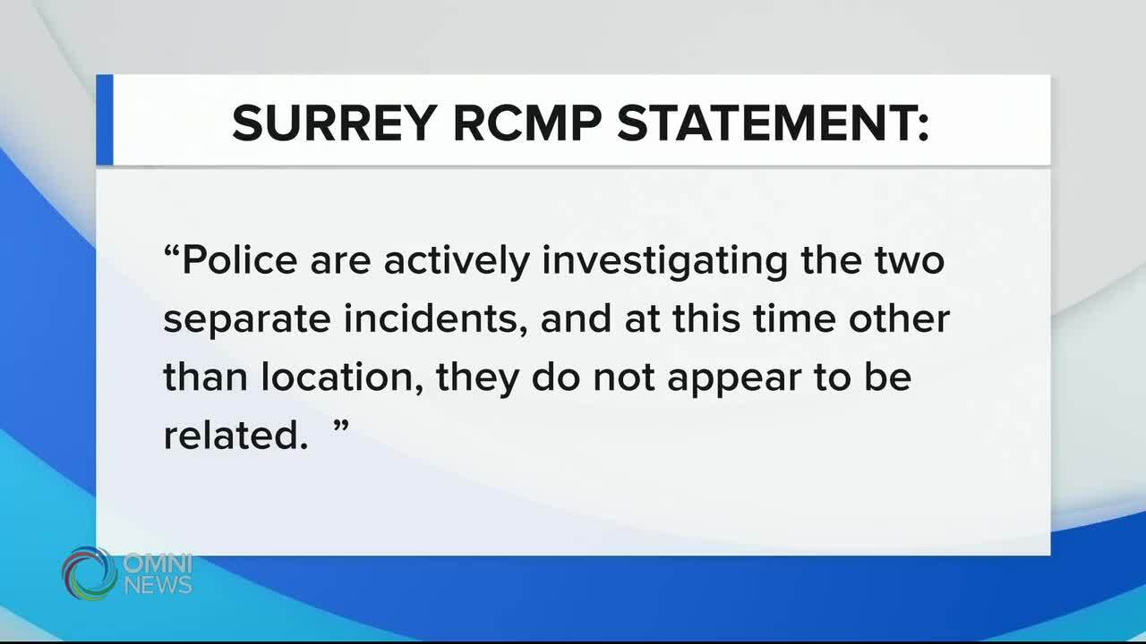 SURREY'S LITTLE INDIA PLAZA SAFETY CONCERN