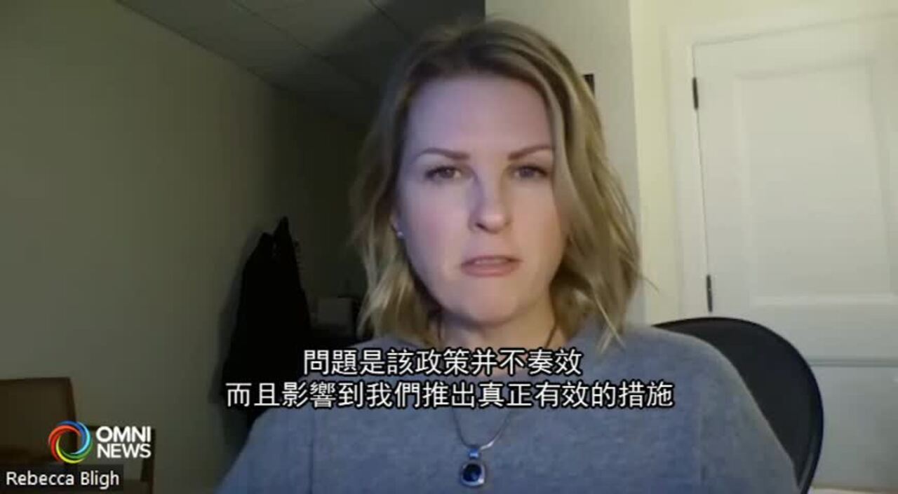 溫市議會討論取消用完即棄杯的收費措施