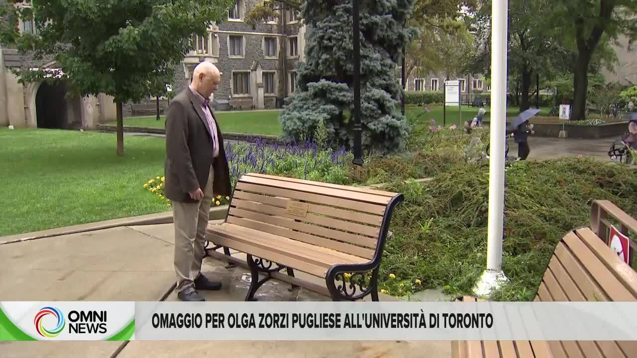 Università di Toronto, una...