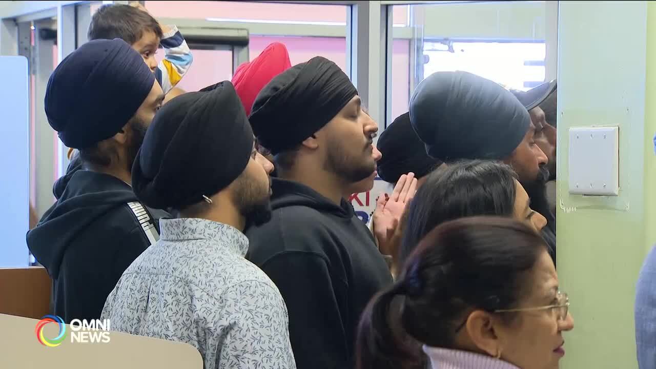 Patrick Brown Auditor report reaction