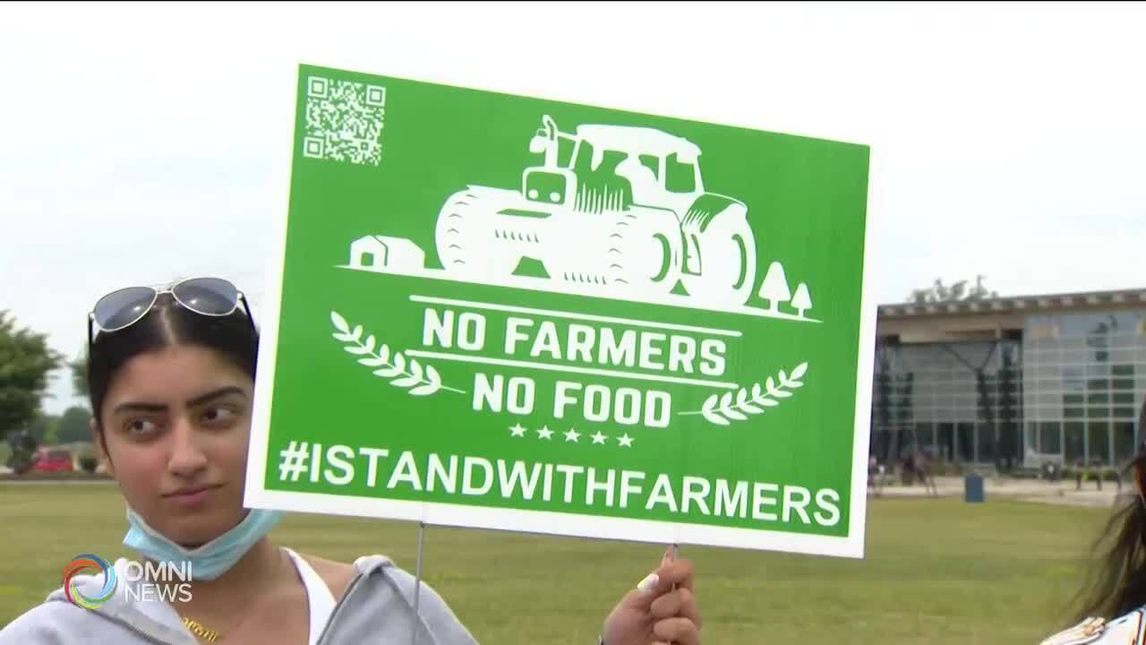 Brampton residents continue rallying for farmers in India