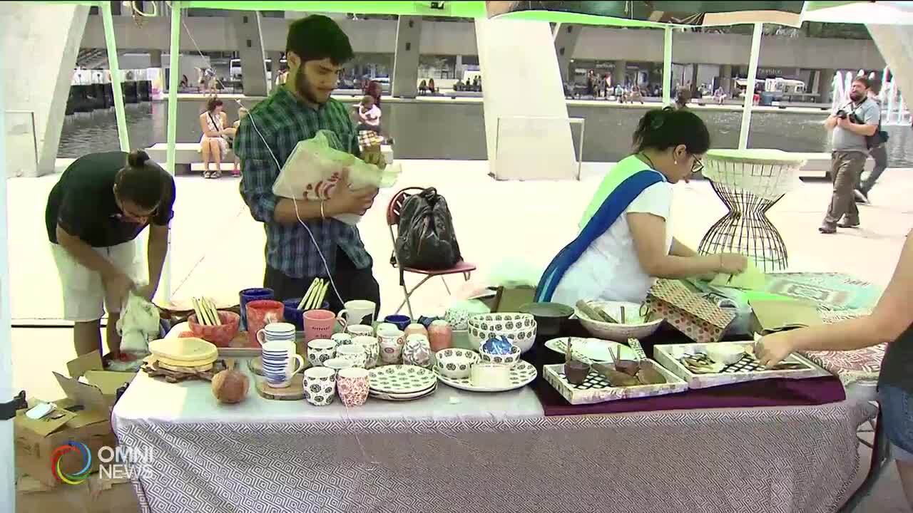 First ever India Day Drive-Thru Parade to happen in Mississauga