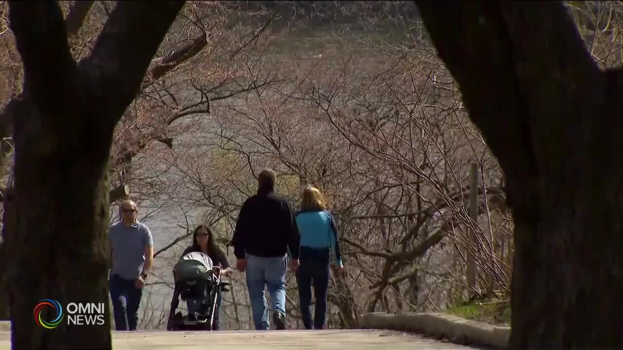 Home of the Floating Lily by Silmy Abdullah