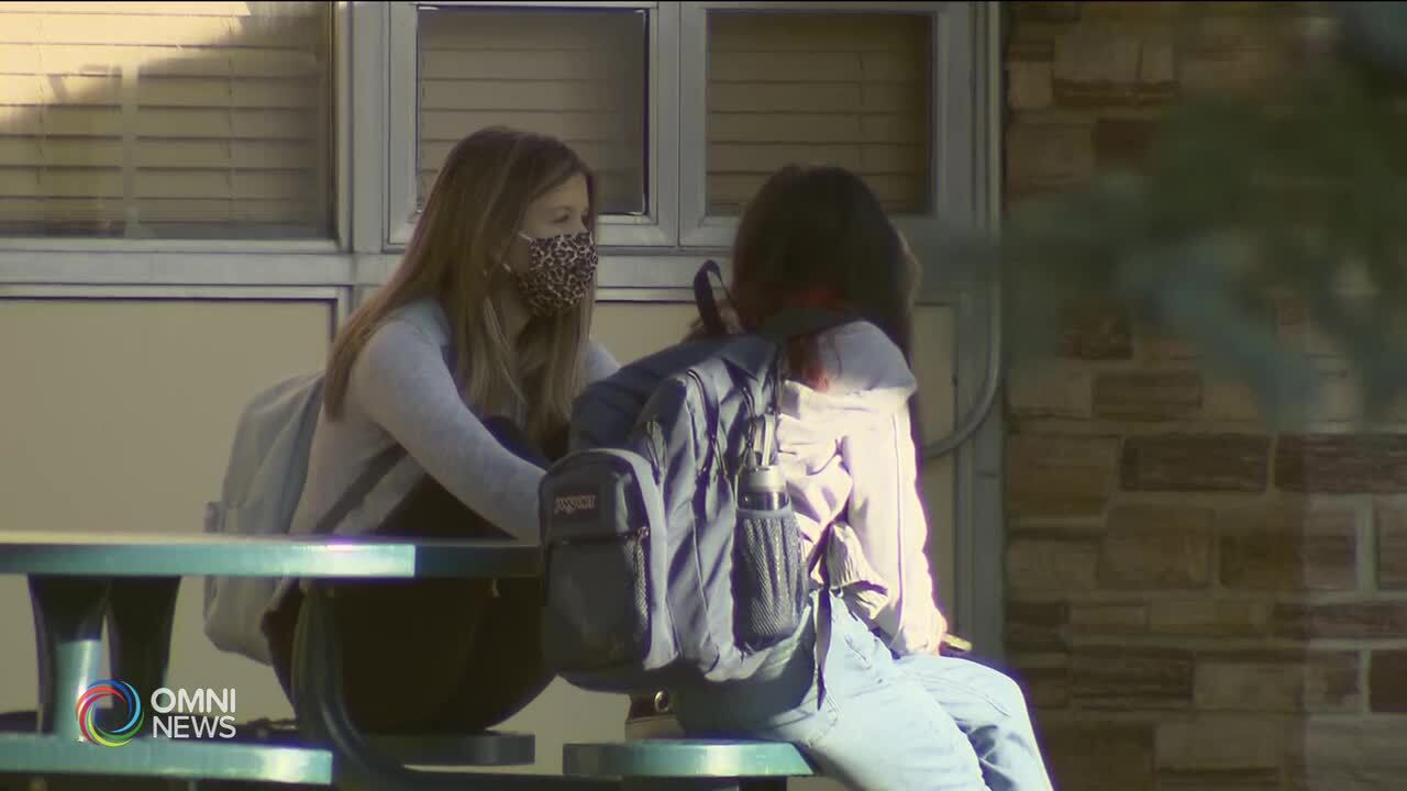 Save a Life, Grassroots mental Health Initiative