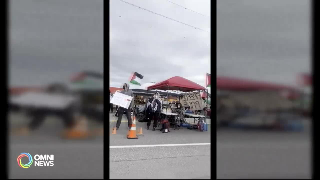 亲巴勒斯坦示威者堵塞三角州港口