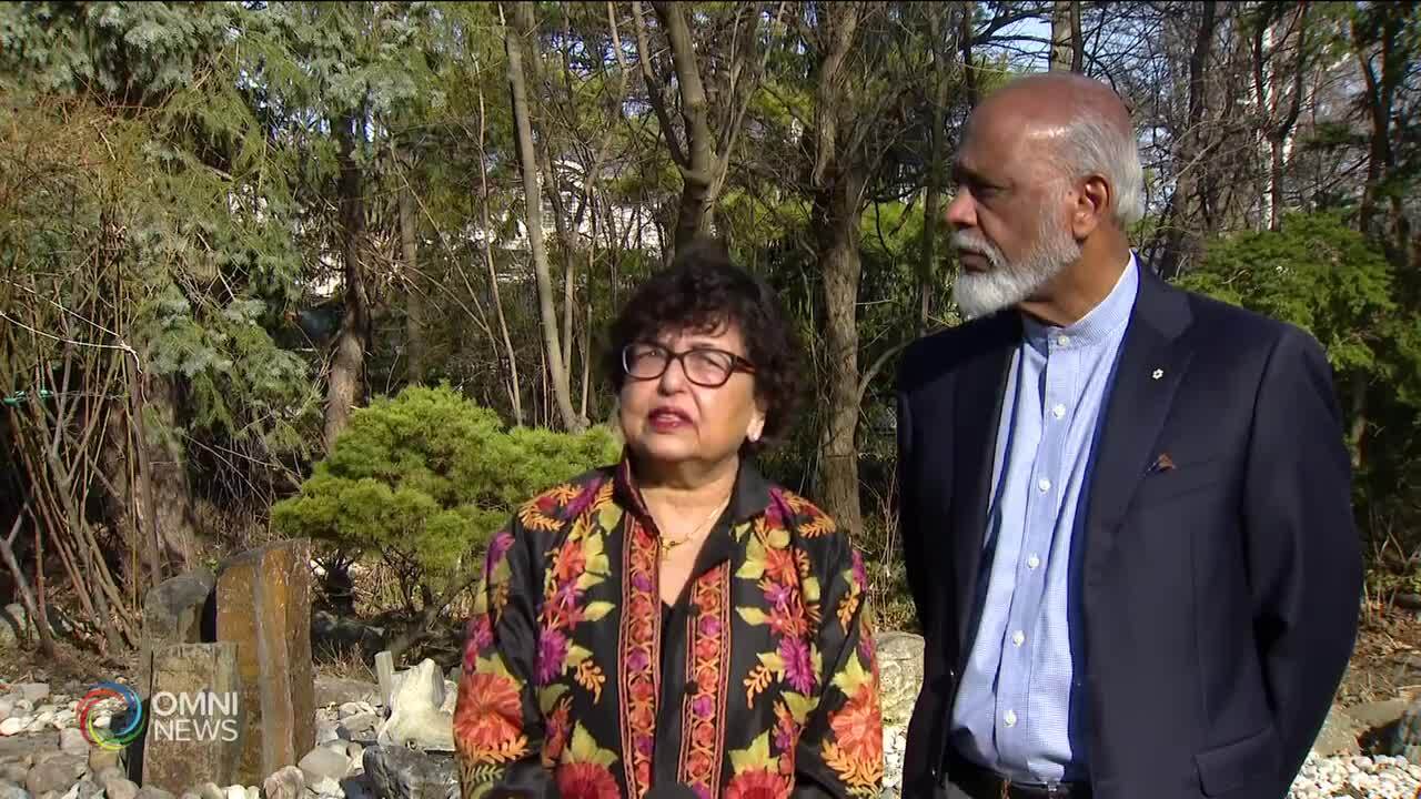 Meet the founders of Ripple Effect (Trewo)