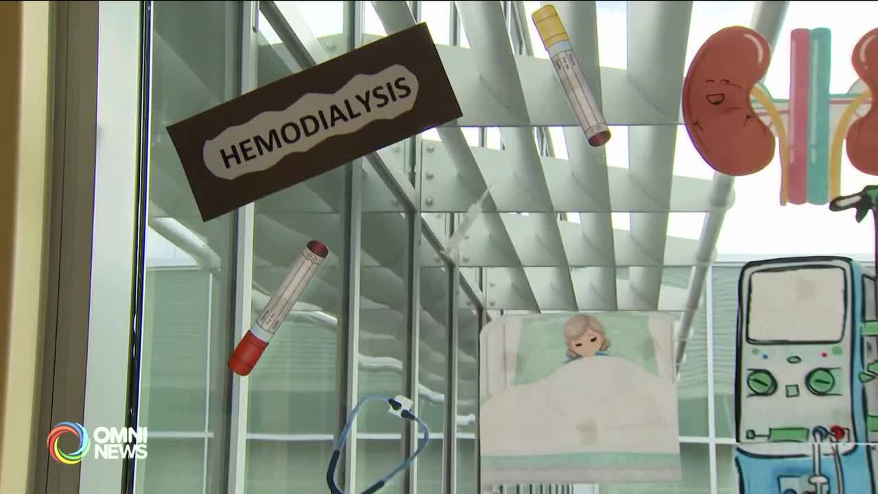 World Kidney Health Month