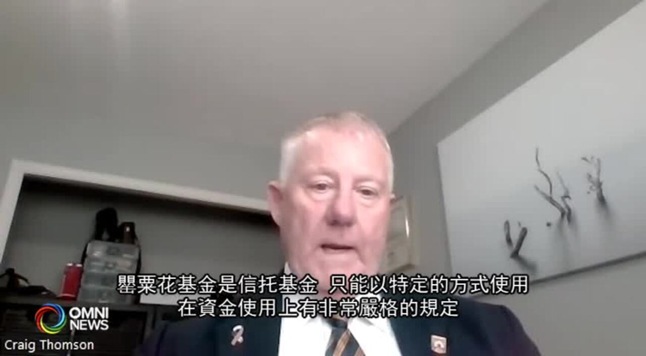 紅色罌粟花由來 紀念戰爭犧牲軍人