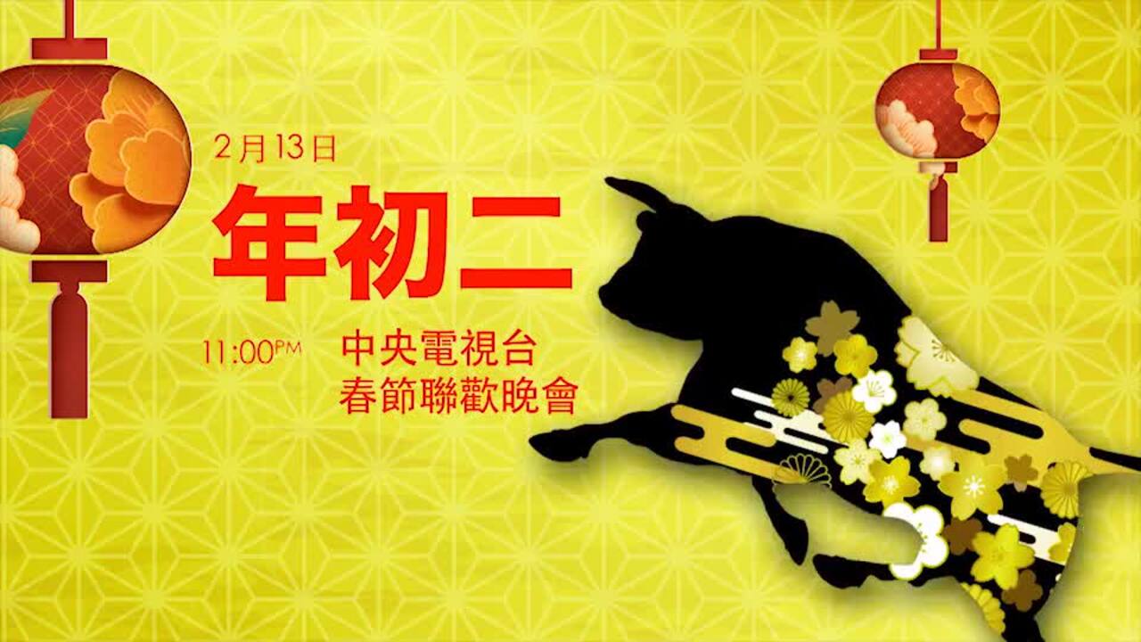 OMNI 電視台 牛年農曆新年期間特備節目