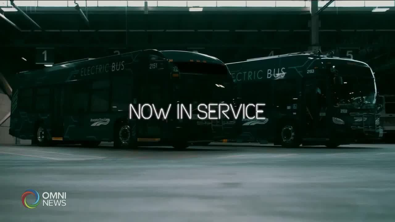Electric buses in Brampton