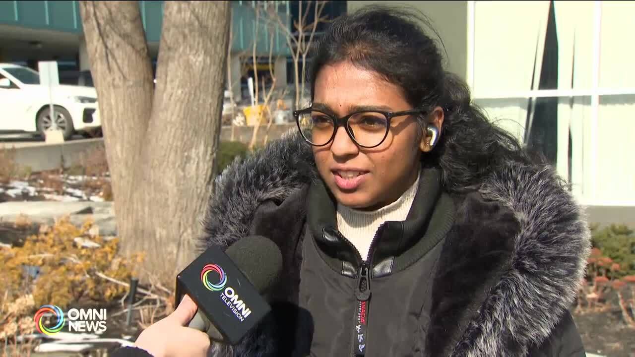 What does your mother language mean to you?