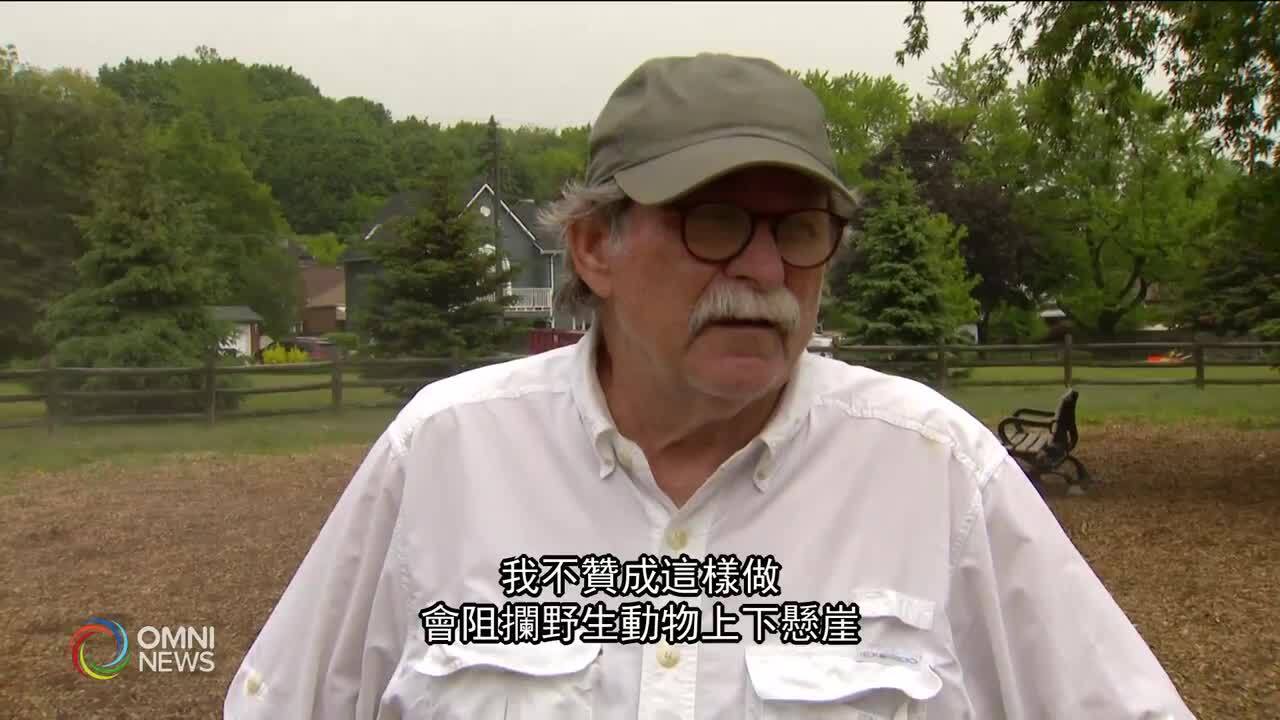 士嘉堡懸崖安裝圍欄防意外  -- Jun 03, 2021 (ON)