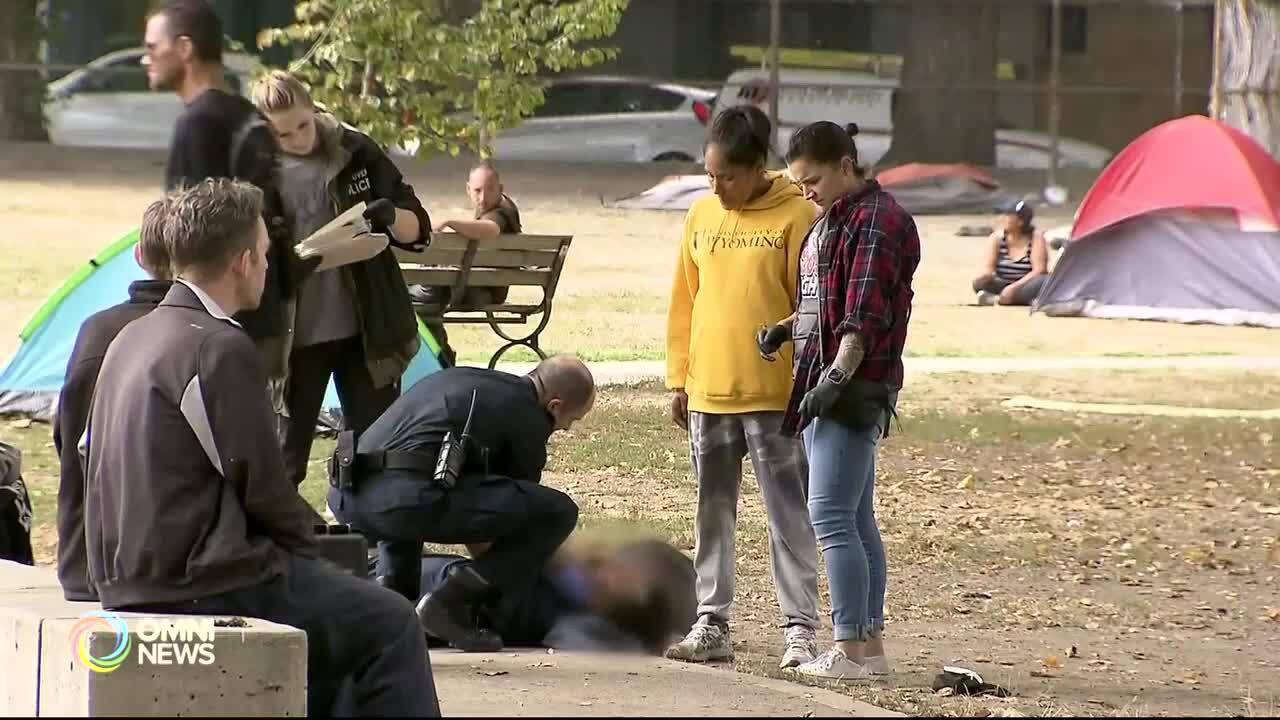 驵勉诚关慧贞谈安全注射屋