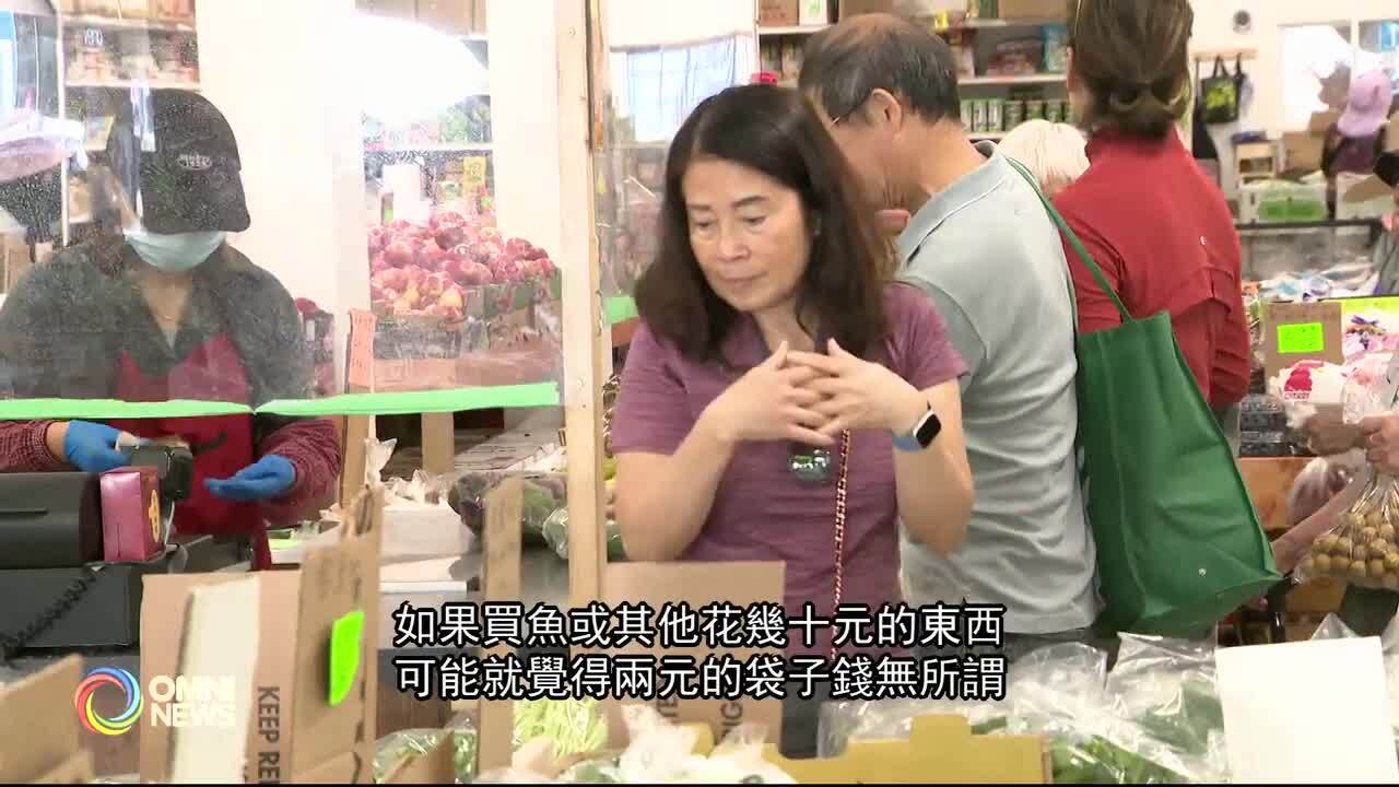 商户称限塑令收购标准太高 商户称限塑令收购标准太高