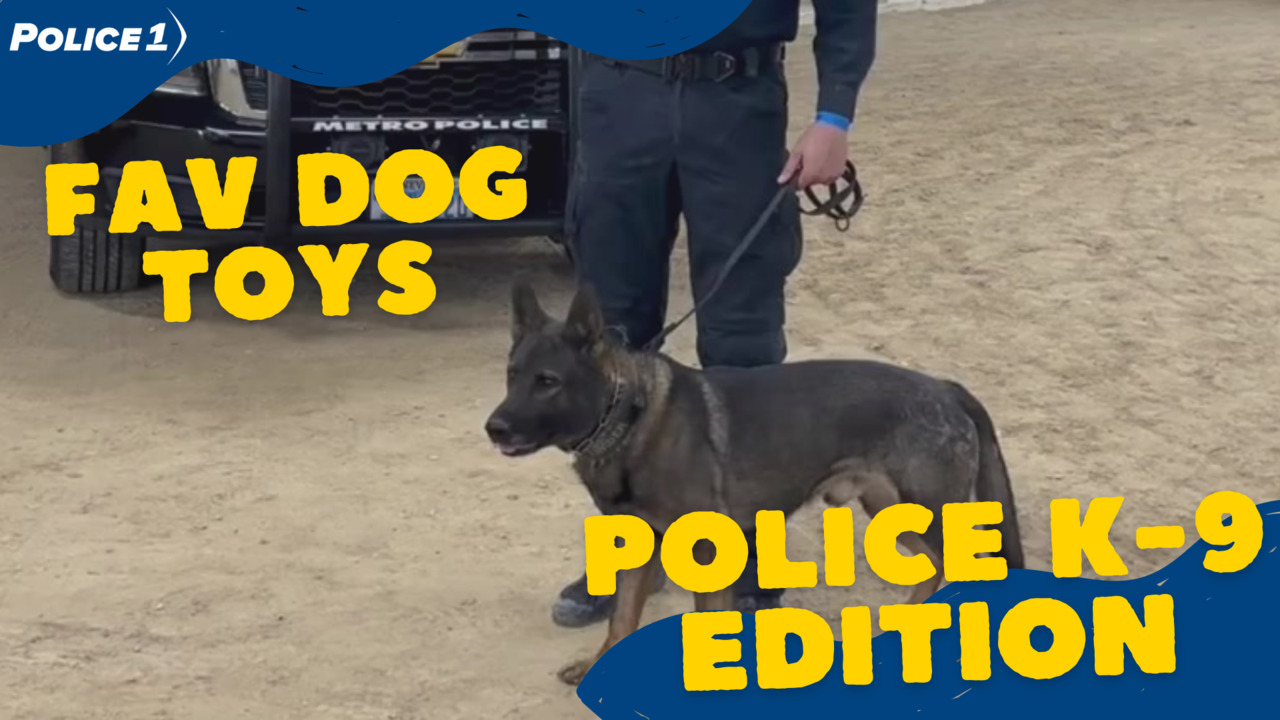 Favorite dog toys of police K 9s