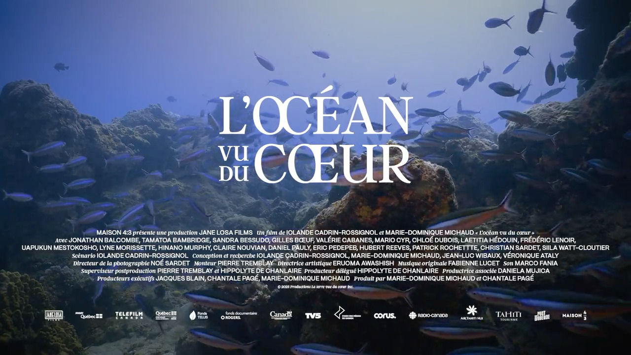 L'Océan vu du coeur - film 2023 - AlloCiné