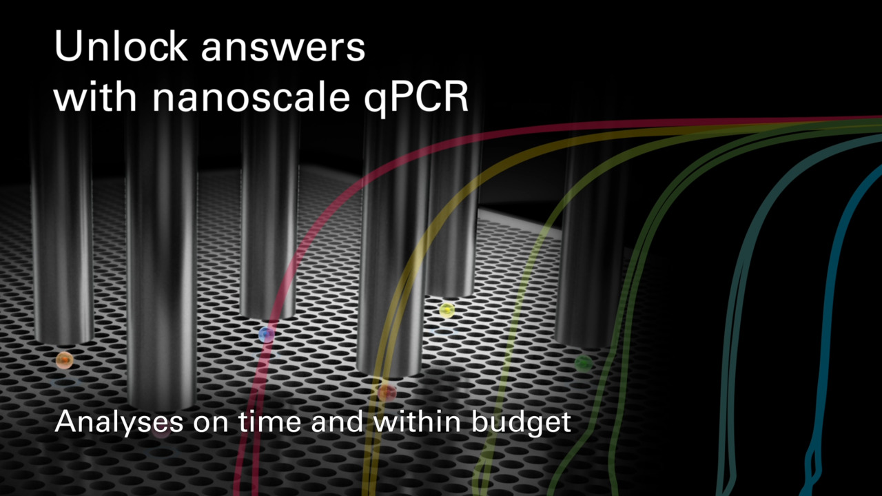 SmartChip ND Real-Time PCR System