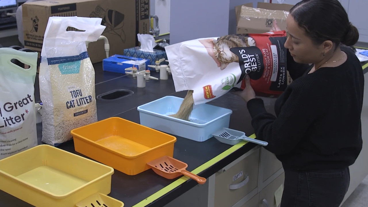 Kitty Litter Testing Kitty Litter Testing