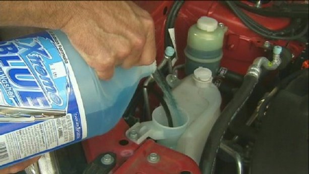 Checking your car's fluids