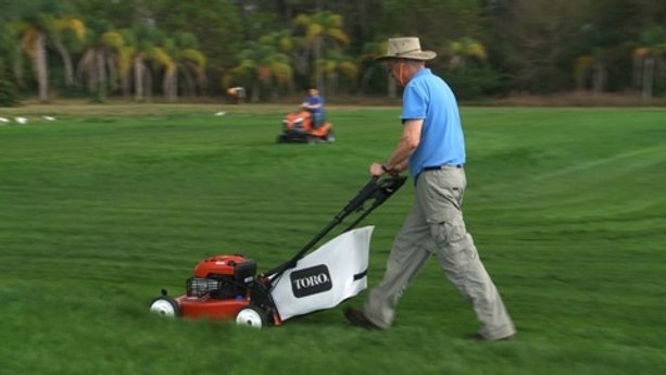 Keep your lawn looking its best