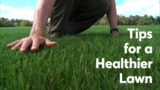 Do This for a Healthier Lawn 