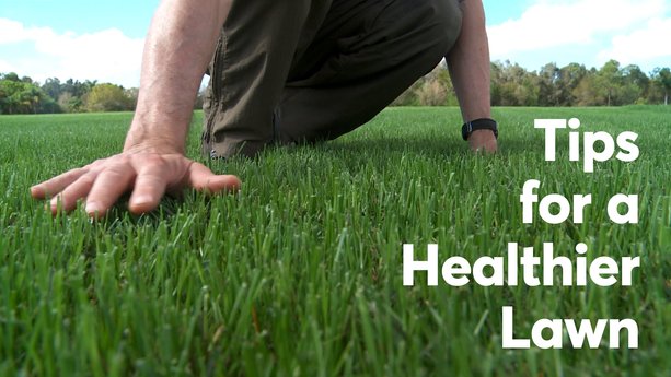 Do This for a Healthier Lawn