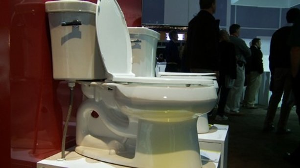 Kohler Wellworth toilet
