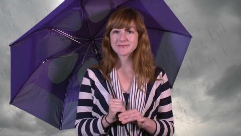 GustBuster umbrella survives high winds