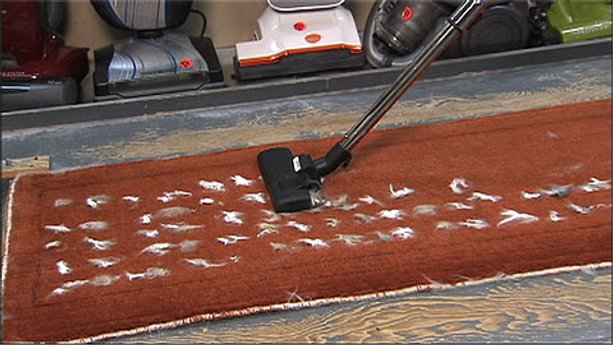 Testing vacuums for pet-hair pickup