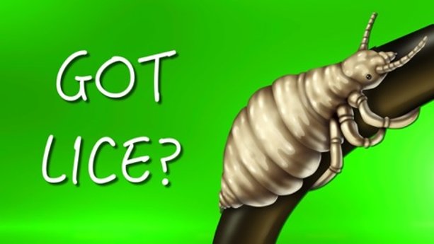How to Treat Lice Without Chemicals